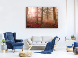 canvas-print-forest-scene-x