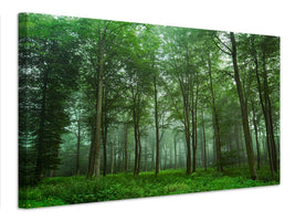 canvas-print-forest-view-x