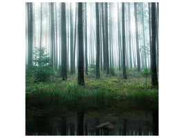 canvas-print-lake-in-forest