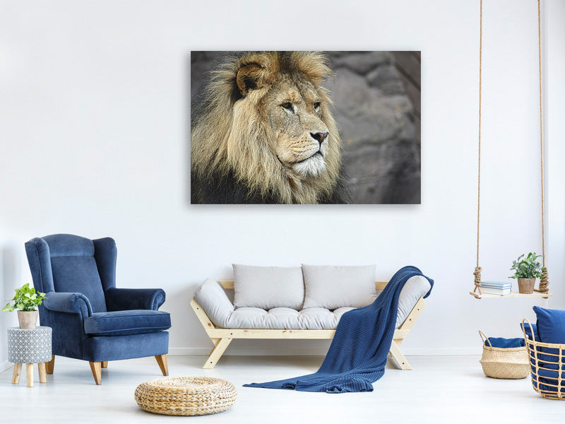 canvas-print-lion-head-xl