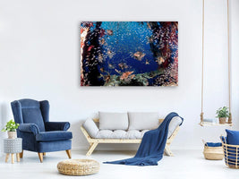 canvas-print-lionfish-party-x