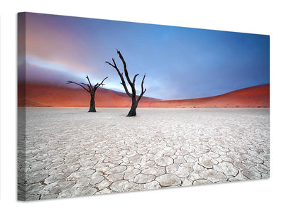 canvas-print-mist-over-deadvlei-x