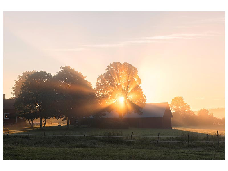 canvas-print-morning-has-broken-x