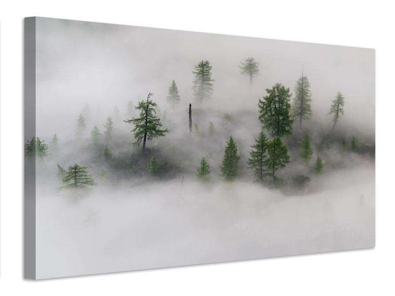 canvas-print-mystical-tree-island-x