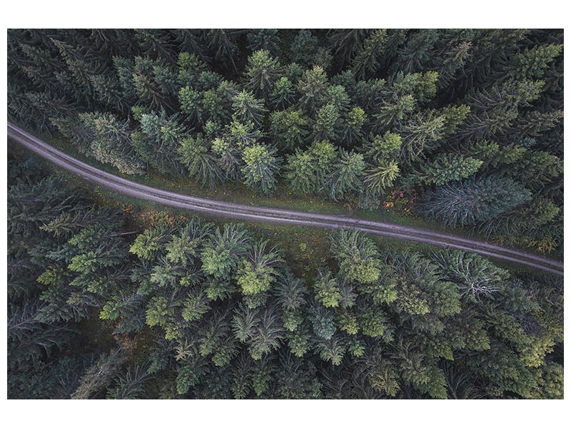 canvas-print-small-road-through-the-forest-x