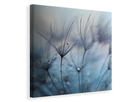 canvas-print-teardrops