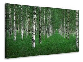 canvas-print-the-tunnel