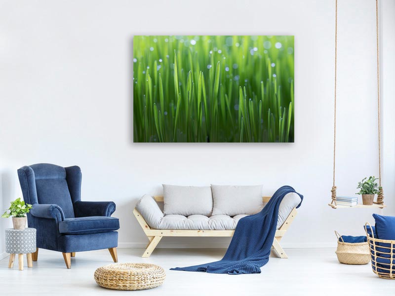 canvas-print-wheat-x