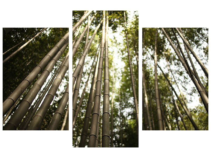 modern-3-piece-canvas-print-arashiyama-japan