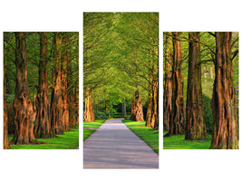 modern-3-piece-canvas-print-beautiful-avenue-in-nature