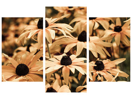 modern-3-piece-canvas-print-daisies-in-sepia