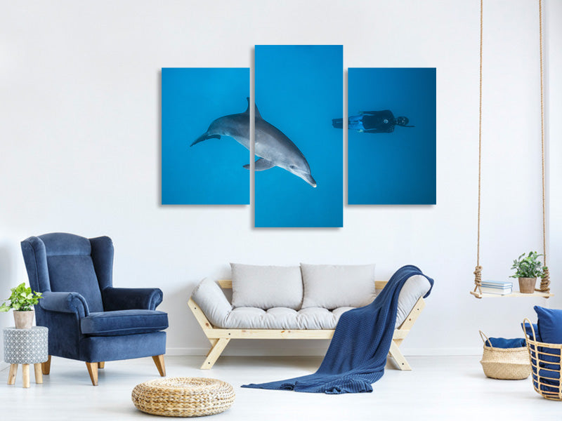 modern-3-piece-canvas-print-dolphin-and-freediver