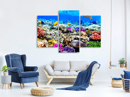 modern-3-piece-canvas-print-fish-aquarium