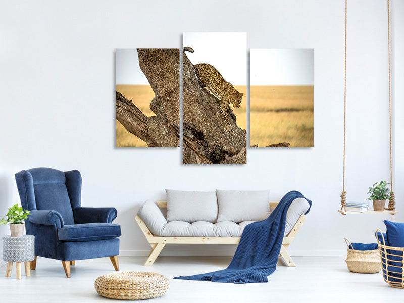 modern-3-piece-canvas-print-leopard-serengheti-tanzania