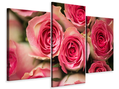 modern-3-piece-canvas-print-rose-love