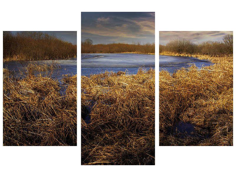 modern-3-piece-canvas-print-rough-nature-landscape
