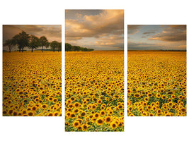 modern-3-piece-canvas-print-sunflowers