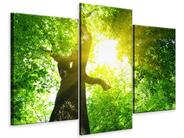 modern-3-piece-canvas-print-tree