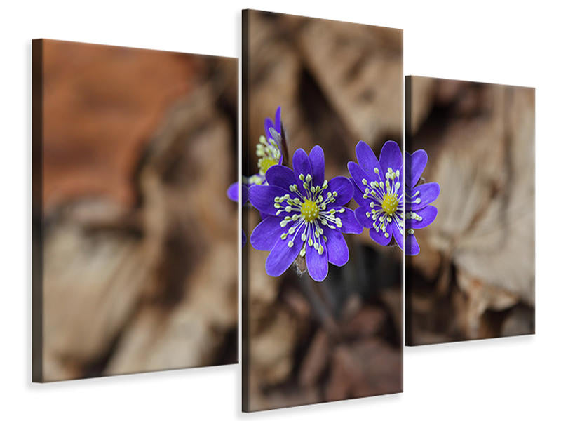 modern-3-piece-canvas-print-wildflowers