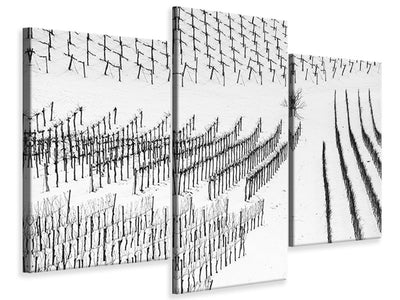 modern-3-piece-canvas-print-winter-lines