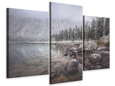 modern-3-piece-canvas-print-winter