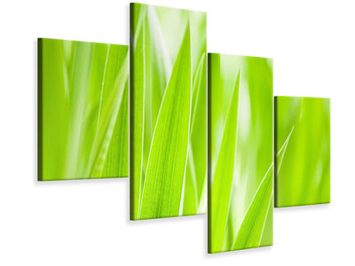 modern-4-piece-canvas-print-grass-xxl