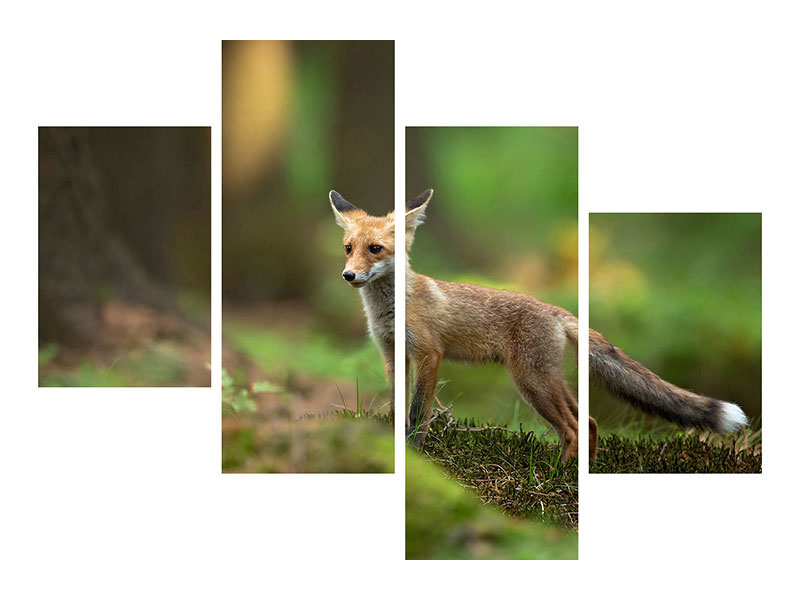 modern-4-piece-canvas-print-red-fox