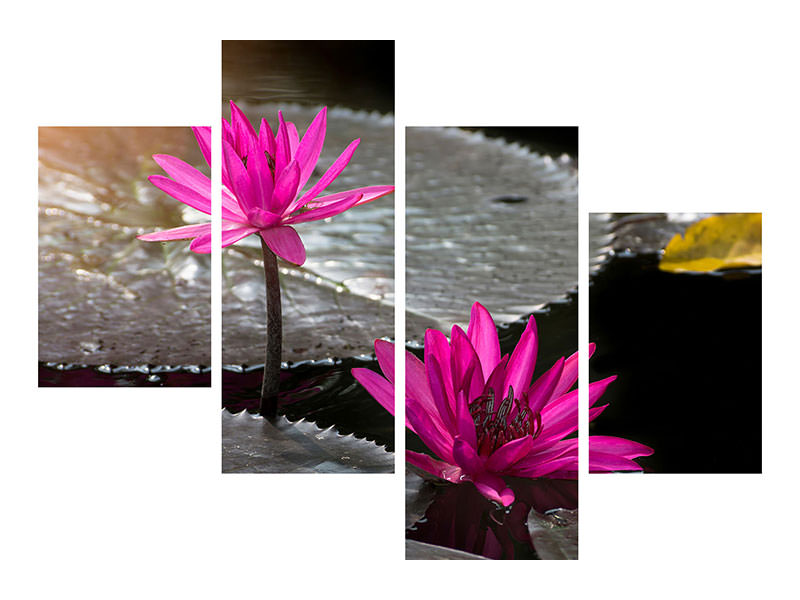 modern-4-piece-canvas-print-water-lily-in-the-morning-dew