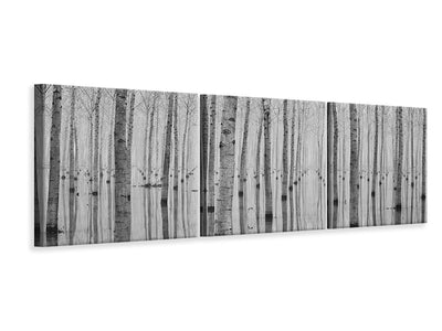 panoramic-3-piece-canvas-print-2014-novembre