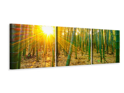 panoramic-3-piece-canvas-print-bamboos