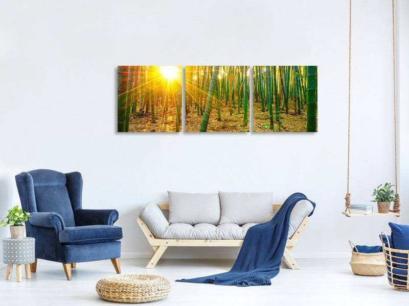 panoramic-3-piece-canvas-print-bamboos