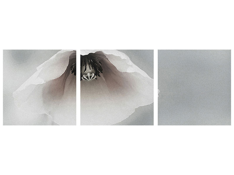 panoramic-3-piece-canvas-print-ephemeral-beauty-ii