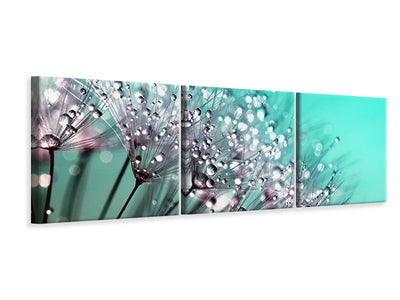 panoramic-3-piece-canvas-print-macro-dandelion-p