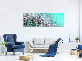 panoramic-3-piece-canvas-print-macro-dandelion-p