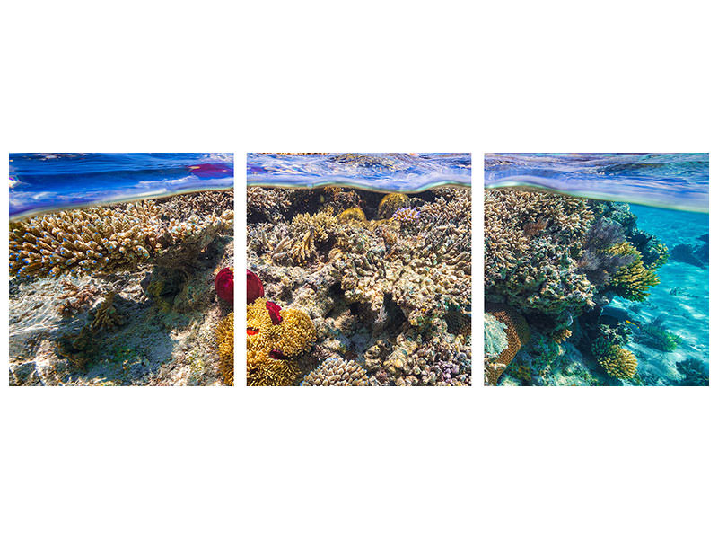 panoramic-3-piece-canvas-print-mayotte-the-reef