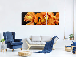 panoramic-3-piece-canvas-print-orchids-with-orange-flowers