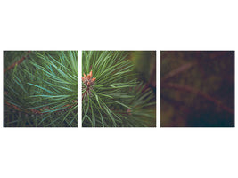 panoramic-3-piece-canvas-print-pine-tree-close-up