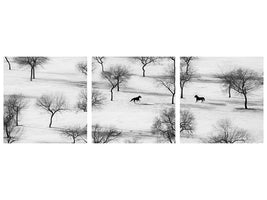 panoramic-3-piece-canvas-print-run