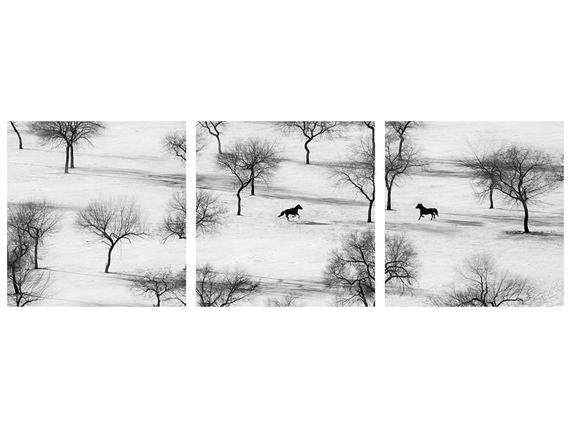 panoramic-3-piece-canvas-print-run