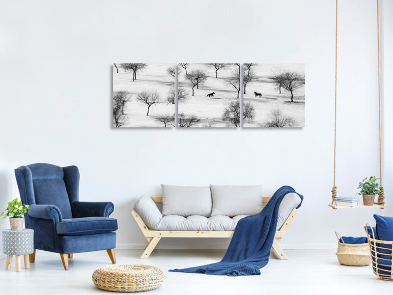 panoramic-3-piece-canvas-print-run