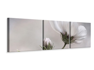 panoramic-3-piece-canvas-print-simply-cosmos