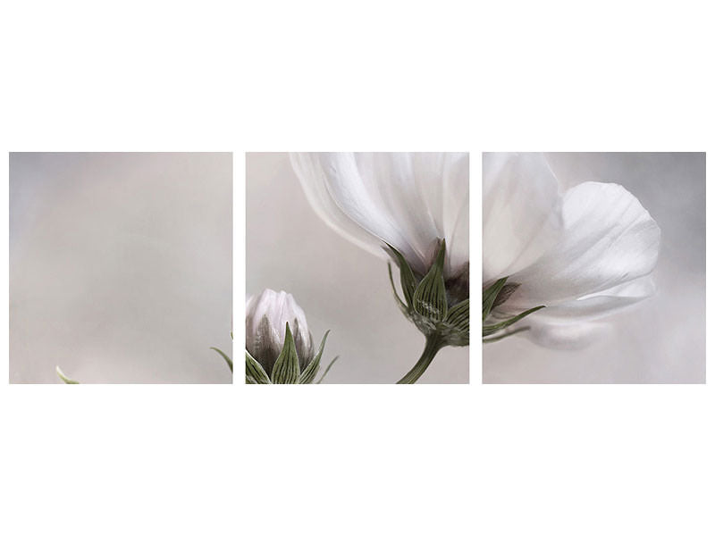 panoramic-3-piece-canvas-print-simply-cosmos