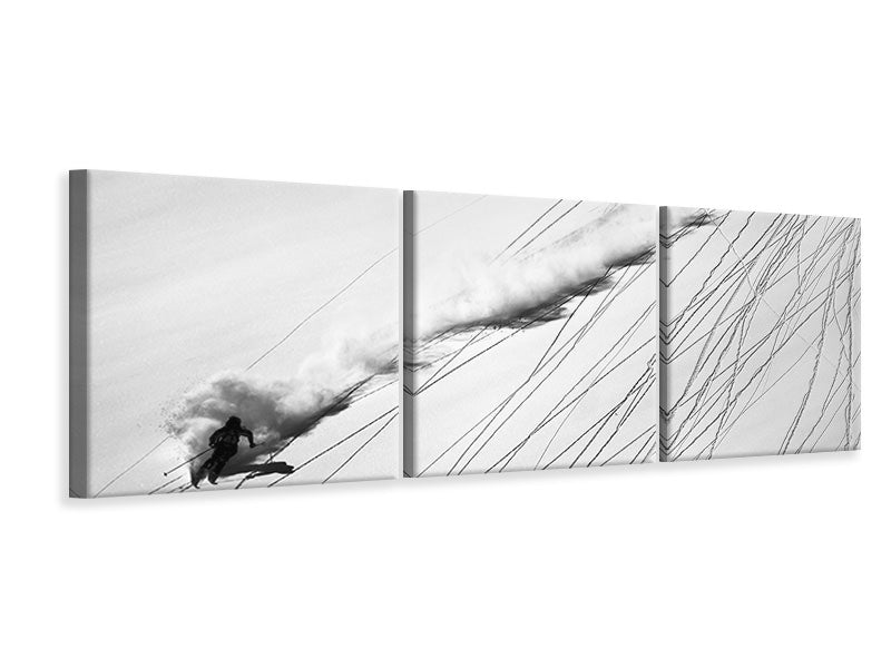 panoramic-3-piece-canvas-print-skiing-powder