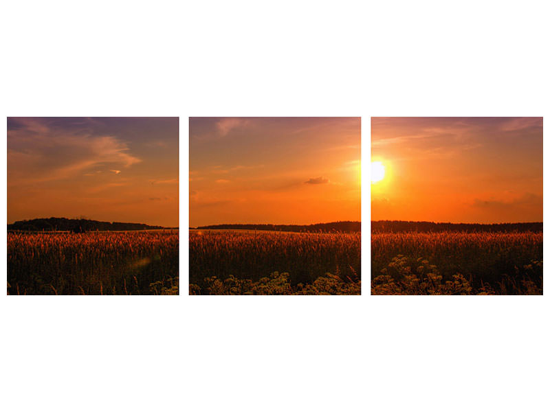 panoramic-3-piece-canvas-print-sunset-at-the-flower-field