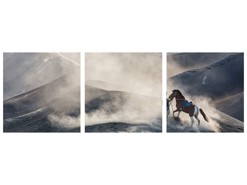 panoramic-3-piece-canvas-print-the-horseman