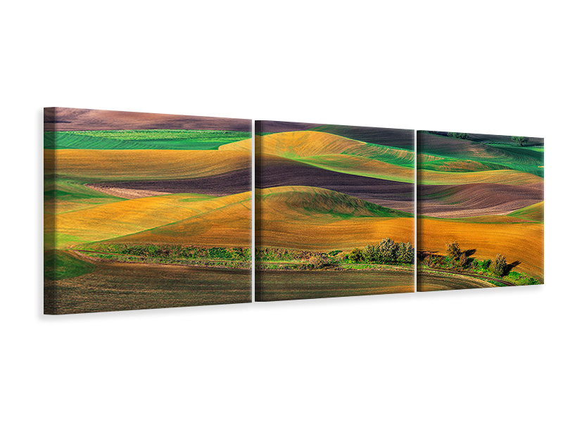 panoramic-3-piece-canvas-print-the-palouse