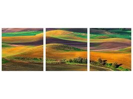 panoramic-3-piece-canvas-print-the-palouse