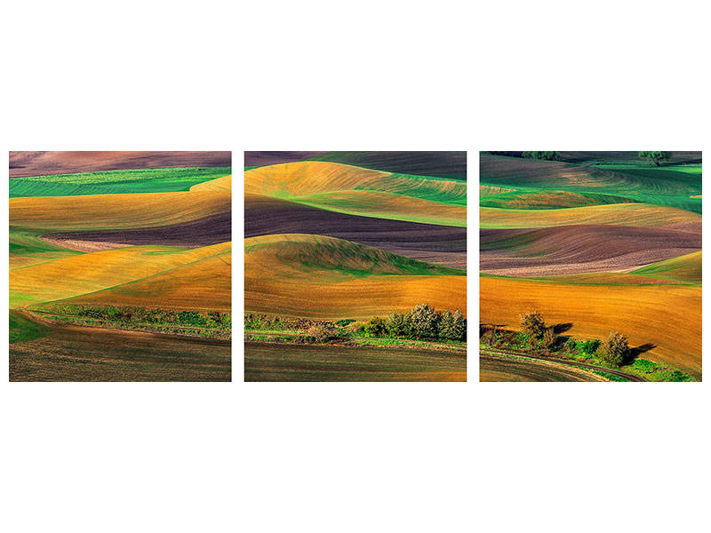 panoramic-3-piece-canvas-print-the-palouse