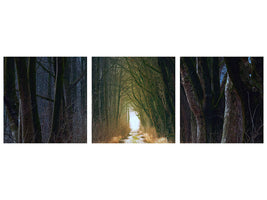 panoramic-3-piece-canvas-print-the-tree-avenue