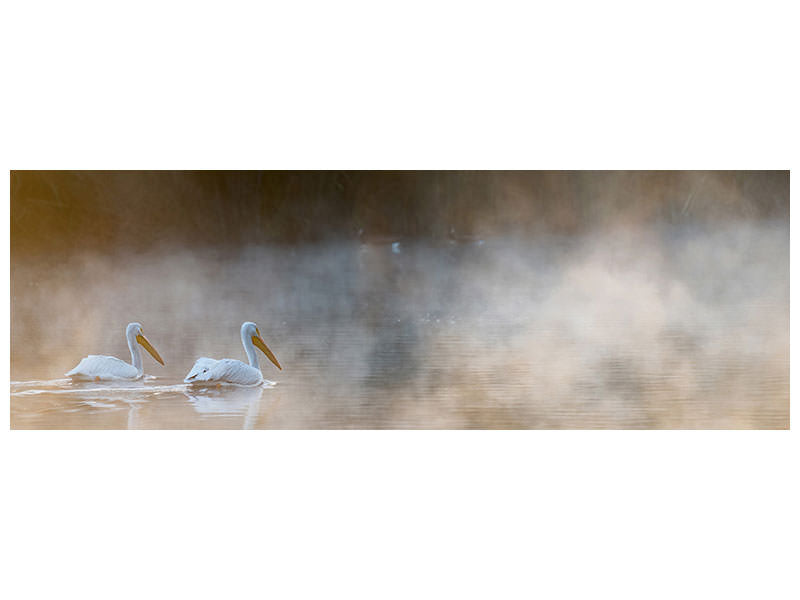 panoramic-canvas-print-companions